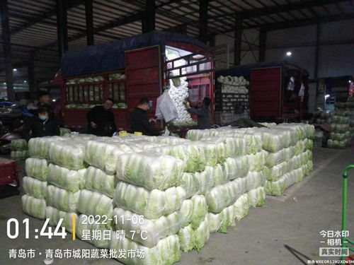 青島五大批發市場保障市民“菜籃子”供應，零售價格持續走低
